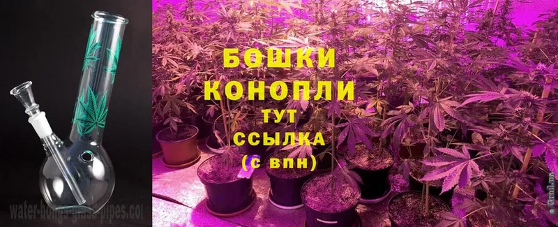 где купить   Бабушкин  Бошки Шишки SATIVA & INDICA 